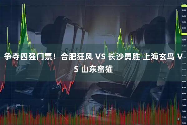 争夺四强门票！合肥狂风 VS 长沙勇胜 上海玄鸟 VS 山东蜜獾
