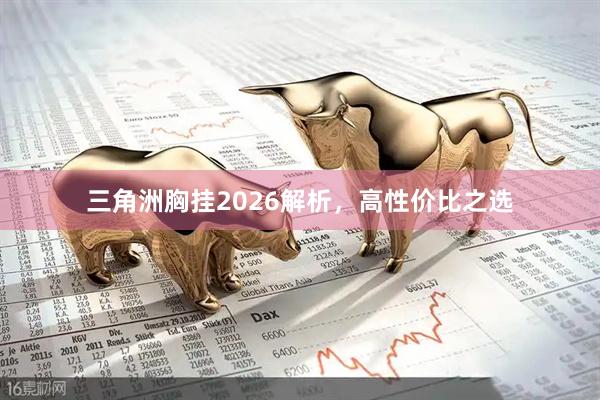 三角洲胸挂2026解析，高性价比之选