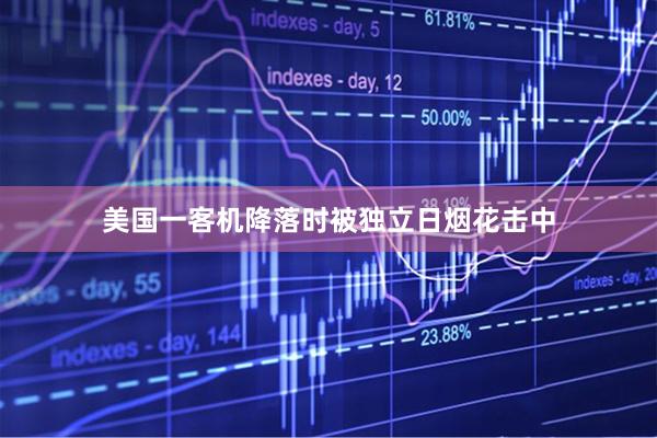 美国一客机降落时被独立日烟花击中
